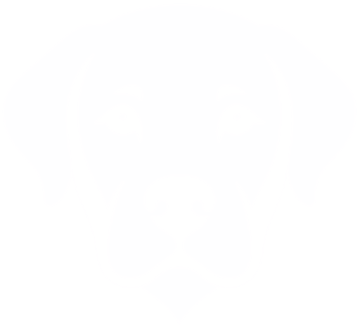 Logo PipeBOX